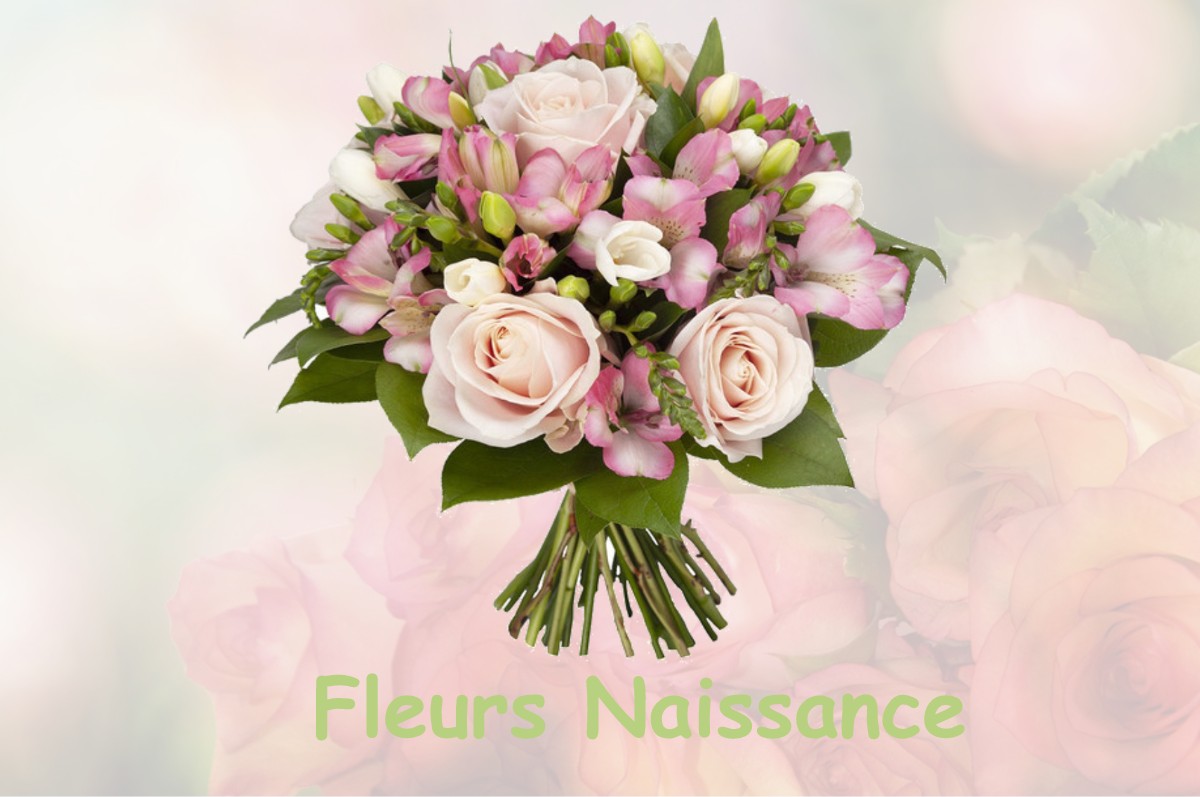 fleurs naissance FRENEUSE